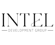 INTEL DEVELOPMENT GROUP